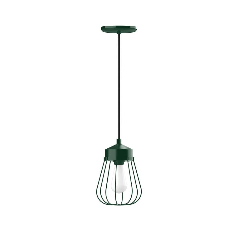 Montclair Lightworks PEB010-42 Vintage, Style A with wire cage, Medium base, with black cord and canopy, Forest Green